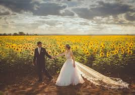 Segna tavolo matrimonio interattivo: cos’è e come usarlo